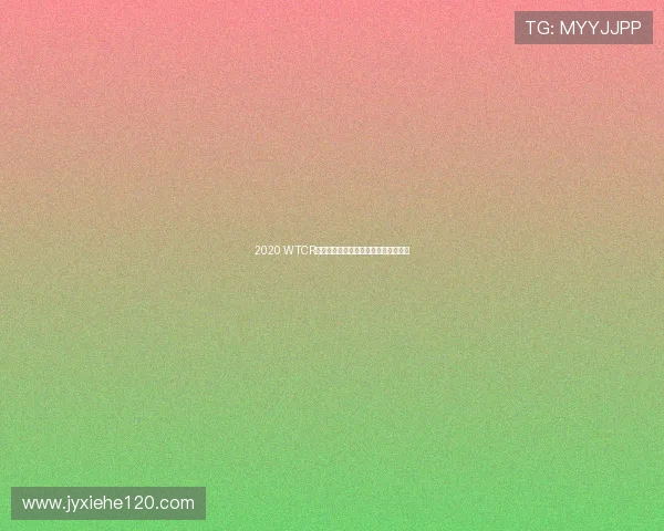 2020 WTCR世界房车锦标赛精彩赛事直播全程回顾